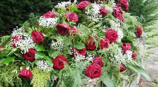 Bogaty bukiet czerwonych róż i białych drobnych kwiatów, ozdobiony zielenią, stanowi eleganckie kwiaty na pogrzeb.