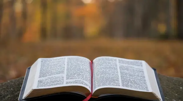 Otwarta Biblia na kamieniu, w otoczeniu jesiennych liści. Czerwona wstążka wskazuje stronę, gdzie szukamy pocieszenia i modlitwy o cud.