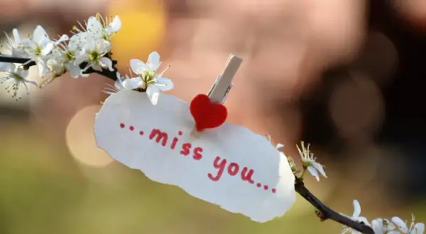 Biała kartka z napisem "miss you" i serduszkiem, przyczepiona do kwitnącej gałązki. Wyrazy współczucia po angielsku.