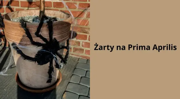 Czarna, włochata pająk ozdabia doniczkę z rośliną, tworząc zabawne żarty na prima aprilis.